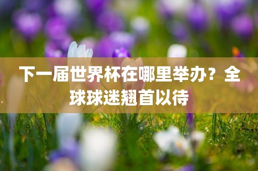 下一届世界杯在哪里举办？全球球迷翘首以待