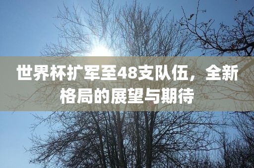 世界杯扩军至48支队伍，全新格局的展望与期待眉山市正发家政服务有限公司
