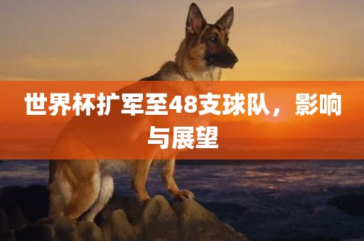 世界杯扩军至48支球队，影响与展望
