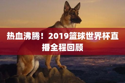 热血沸腾！2019篮球世界杯直播全程回顾