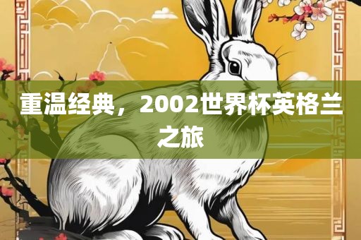 重温经典，2002世界杯眉山市正发家政服务有限公司英格兰之旅