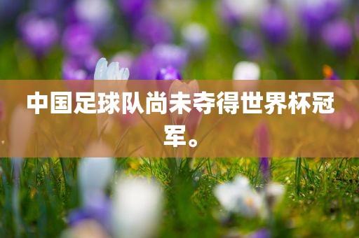 中国足球队尚未夺得世界杯冠军。