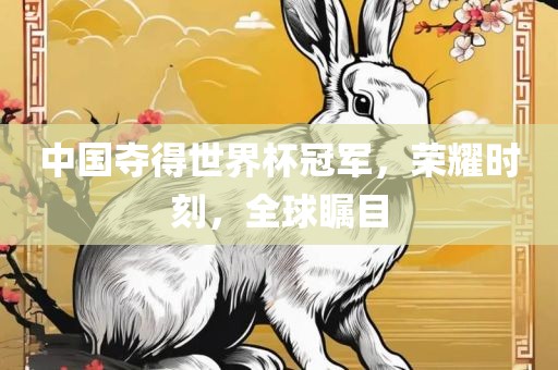 中国夺得世界杯冠军，荣耀时刻，全球瞩目