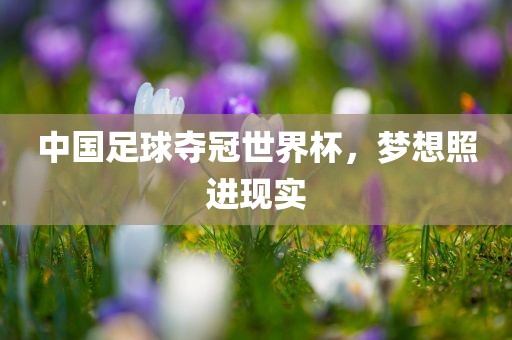 中国足球夺冠世界杯，梦想照进现实