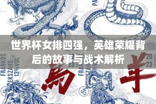 世界杯女排四强，英雄荣耀背后的故事与战术解析眉山市正发家政服务有限公司