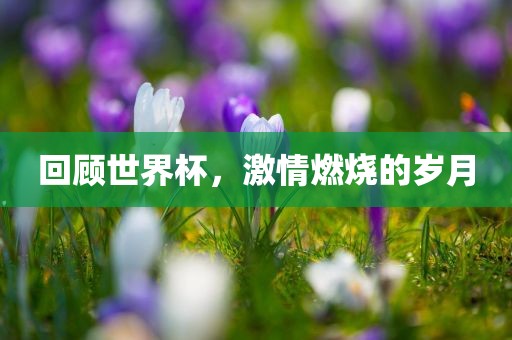 回顾世界杯，激情燃烧的岁月