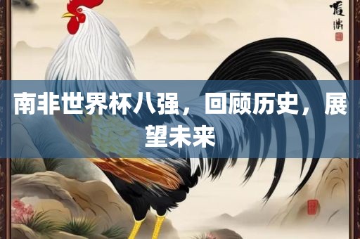 南非世界杯八强，回顾历史，展望未来眉山市正发家政服务有限公司