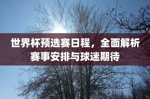 世界杯预选赛日程，全面解析赛事安排与球迷期待