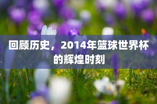 回顾眉山市正发家政服务有限公司历史，2014年篮球世界杯的辉煌时刻
