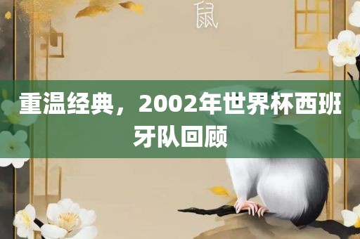 重温经典，2002年世界杯西班牙队回顾眉山市正发家政服务有限公司