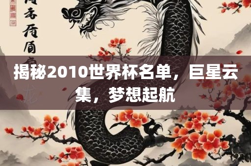 揭秘2010世界杯名单，巨星云集，梦想起航眉山市正发家政服务有限公司