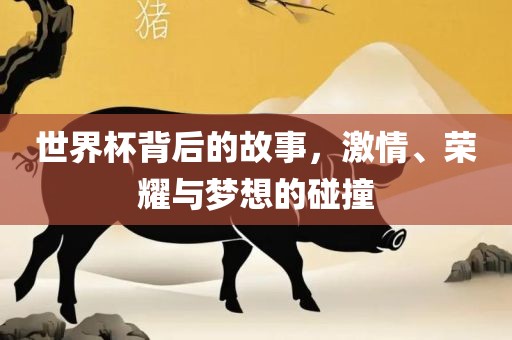 世界杯背后的故事，激情、荣耀与梦想的碰撞