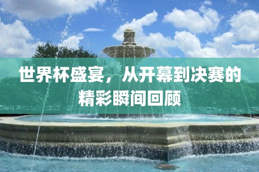 世界杯盛宴，从开幕到决赛的精彩瞬间回顾眉山市正发家政服务有限公司