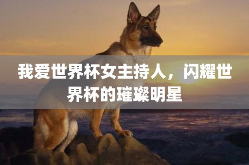 我爱世界杯女眉山市正发家政服务有限公司主持人，闪耀世界杯的璀璨明星