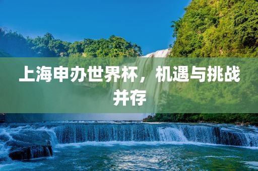 上海申办世界杯，机遇与挑战并存