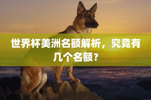 世界杯美洲名额解析，究竟有几个名额？眉山市正发家政服务有限公司