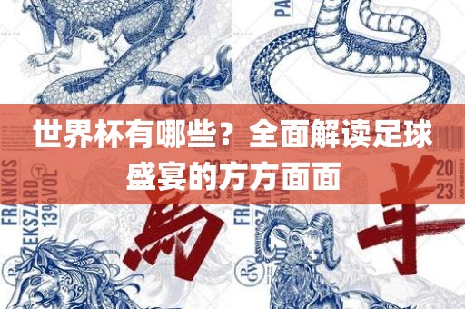 世界杯有哪些？全面解读足球盛宴的方方面面