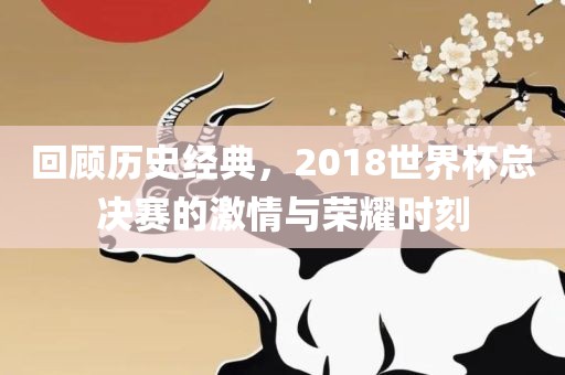 回顾历史经典，2018世界杯总决赛的激情与荣耀时刻
