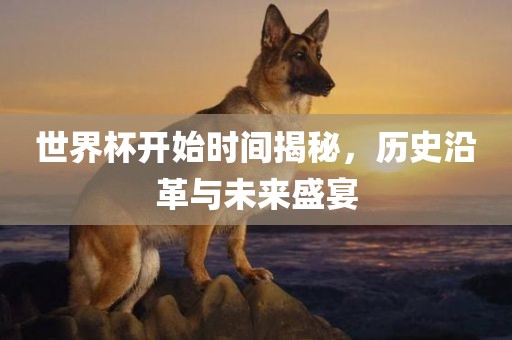 世界杯开始时间揭秘，历史沿革与未来盛宴