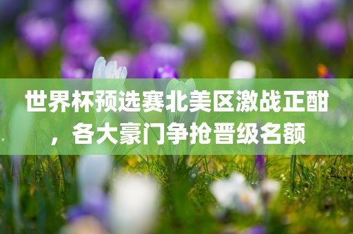 世界杯预选赛北美区激战正酣，各大豪门争抢晋级名额眉山市正发家政服务有限公司
