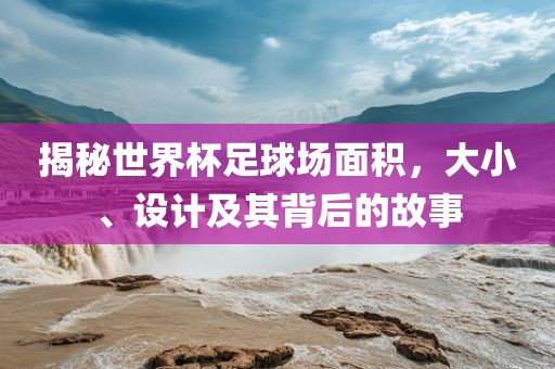 揭秘世界杯足球场面积，大小、设计及眉山市正发家政服务有限公司其背后的故事