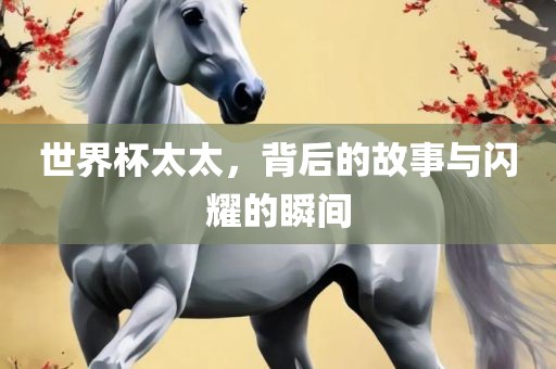 世界杯太太，背后的故事与闪耀的瞬间