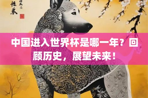 中国进入世界杯是哪一年？回顾历史，展望未来！