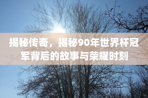 揭秘传奇，揭秘90年世界杯冠军背后的故事与荣耀时刻眉山市正发家政服务有限公司