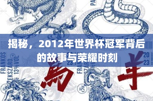 揭秘，2012年世界杯冠军背后的故事与荣耀时刻
