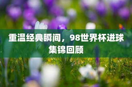 重温经典瞬间，98世界杯进球集锦回顾