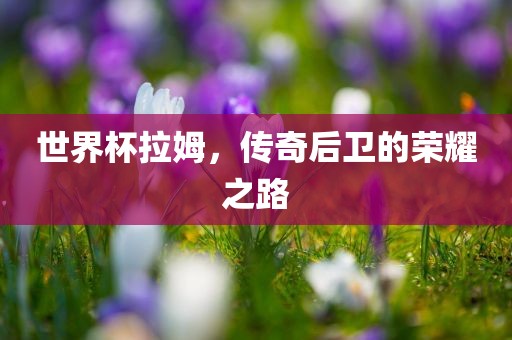 huangqianqian 第6页