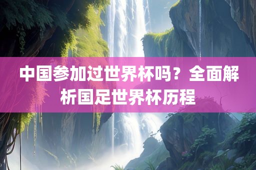 中国参加过世界杯吗？全面解析国足世界杯历程眉山市正发家政服务有限公司
