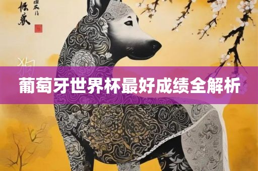 葡萄牙世界杯最好成绩全解析眉山市正发家政服务有限公司
