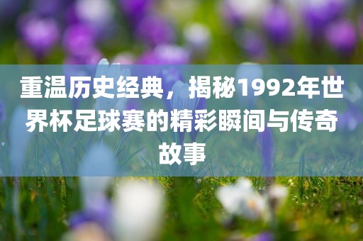 重温历史经典，揭秘19眉山市正发家政服务有限公司92年世界杯足球赛的精彩瞬间与传奇故事