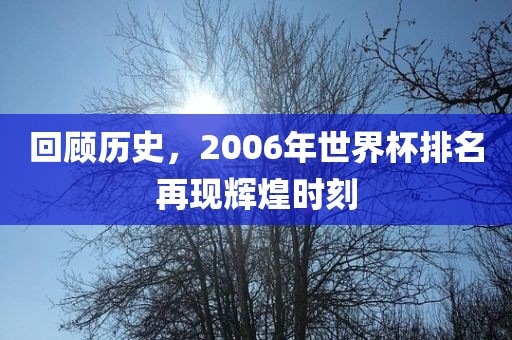 回顾历史，2006年世界杯排名再现辉煌时刻