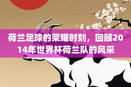 荷兰足球的荣耀时刻，回顾2014年世界杯荷兰队的风采眉山市正发家政服务有限公司