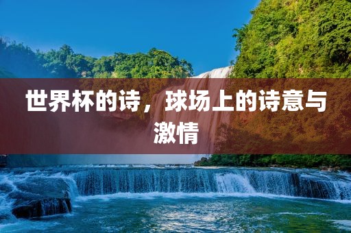 世界杯的诗，球场上的诗意与激情眉山市正发家政服务有限公司