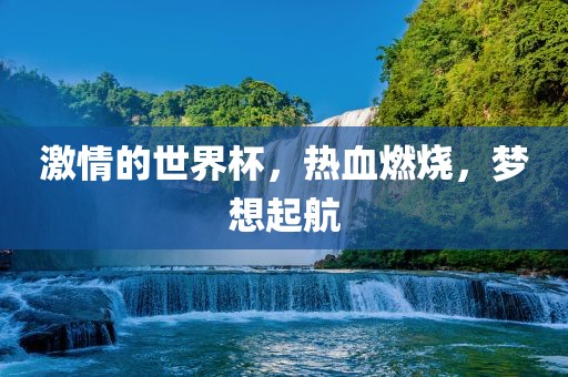 激情的世界杯，热血燃烧，梦想起航眉山市正发家政服务有限公司