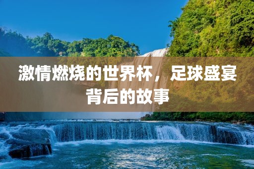 激情燃烧的世界杯，足球盛宴背后的故事眉山市正发家政服务有限公司
