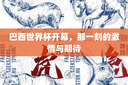 巴西世界杯开幕，那一刻的激情与期待