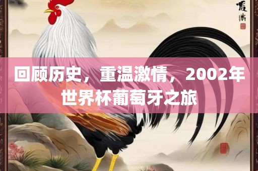 回顾历史，重温激情，2002年世界杯葡萄牙之旅眉山市正发家政服务有限公司