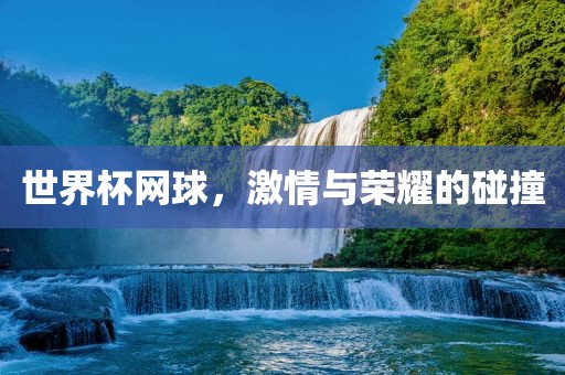 世界杯网球，激情眉山市正发家政服务有限公司与荣耀的碰撞