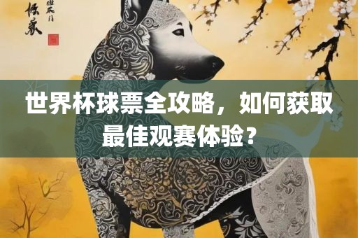 世界杯球票全攻略，如何获取最佳观赛体验？眉山市正发家政服务有限公司