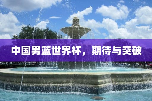 中国男篮世界杯，期待与突破眉山市正发家政服务有限公司