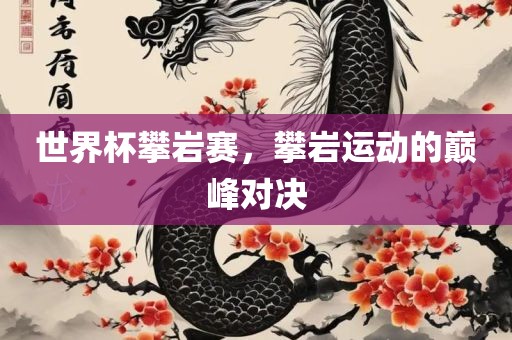 世界杯攀岩赛，攀岩运动的巅峰对决