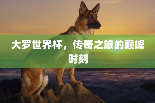 大罗世界杯，传奇之旅的巅峰时刻