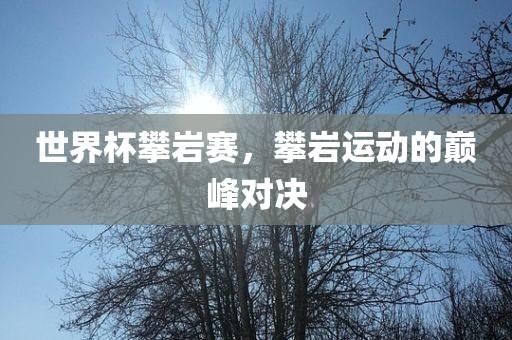 linshuhui 第6页