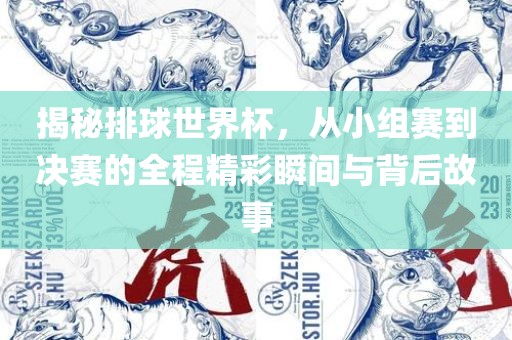 揭秘排球世界杯，从小组赛到决赛的全程精彩瞬间与背后故事