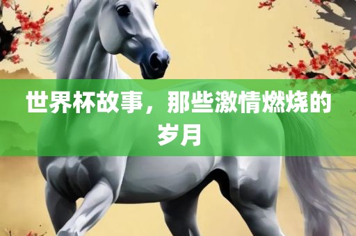 世界杯故事，那些激情燃烧的岁月