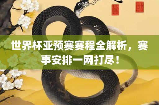 世界杯亚预赛赛程全解析，赛事安排一网打尽！